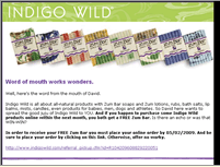 Indigo Wild - Outlook 03