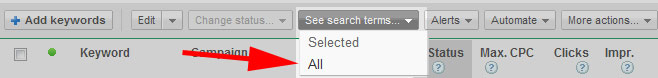 Google AdWords Search Terms Report