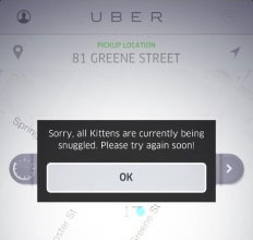 uber-kitten-overload-sq