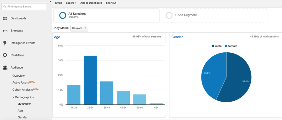 google analytics demographics