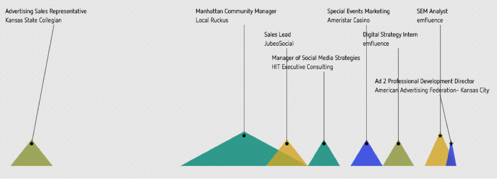 vizualize me infographics