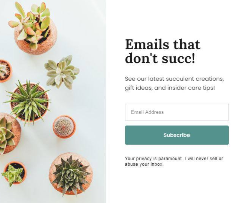 Email Signup Succulent