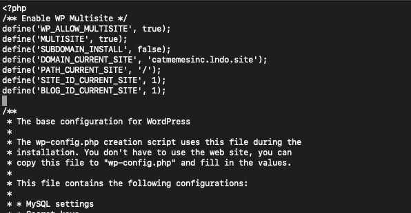 Image of sample code for a WordPress multisite